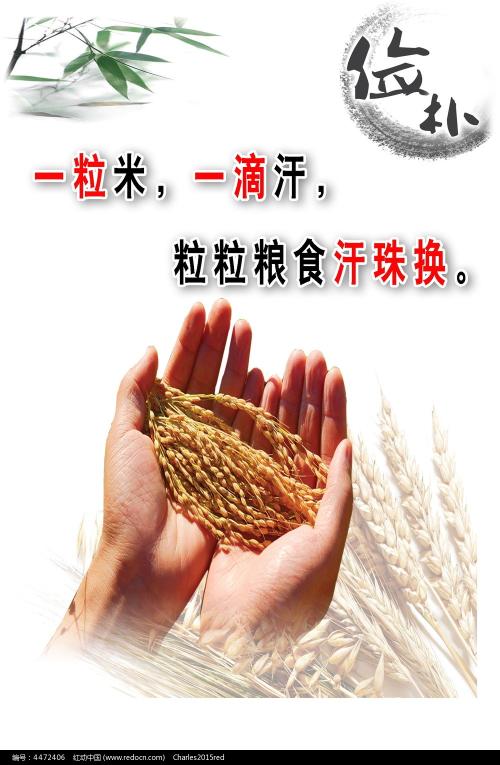 博士毕业证书和学位证书专业不一致